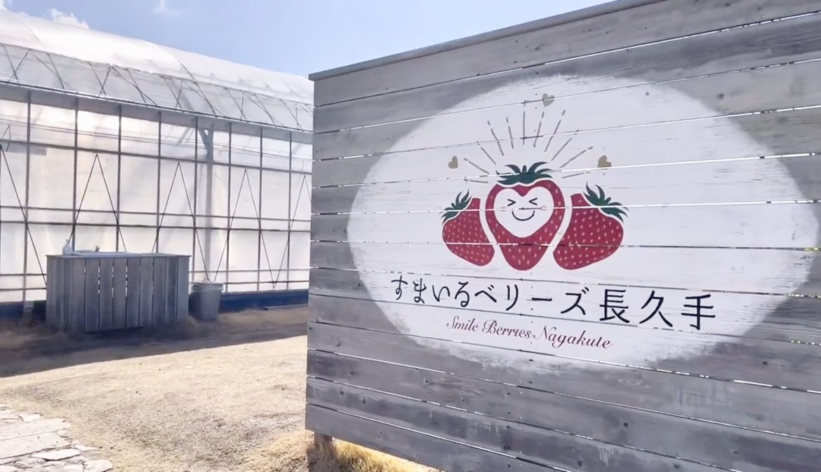すまいるベリーズ2