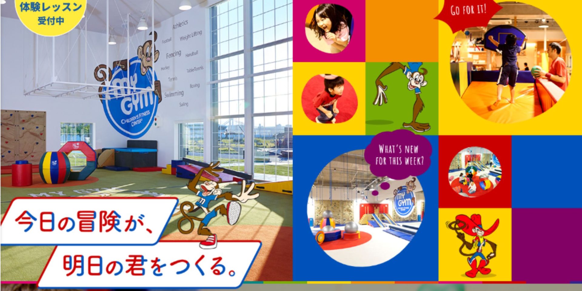My Gym