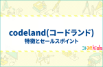 コードランドとは？特徴とセールスポイントを紹介